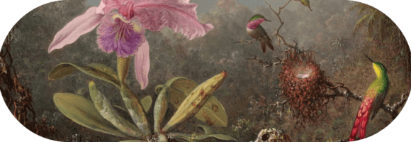 inspiration.ma - Accueil - Cattelya Orchid and Three Brazilian Hummingbirds Martin Johnson Heade 1 1