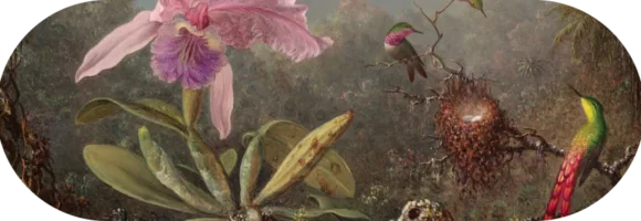 inspiration.ma - Accueil - Cattelya Orchid and Three Brazilian Hummingbirds Martin Johnson Heade 1 1